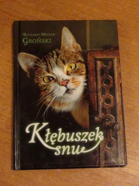 Kłębuszek snu (Kototeka 2000)