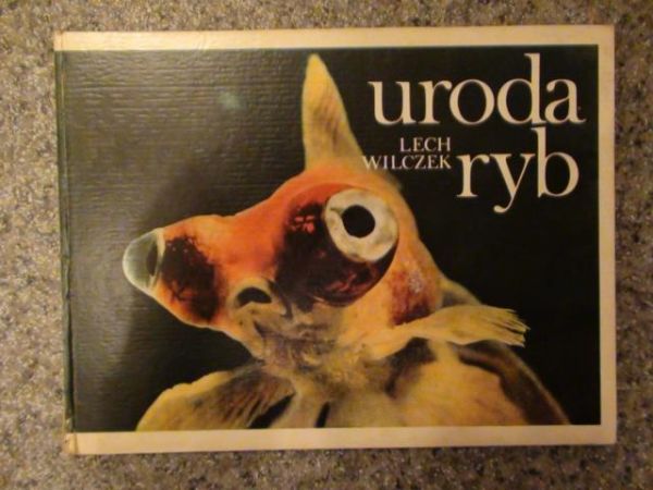 Uroda ryb