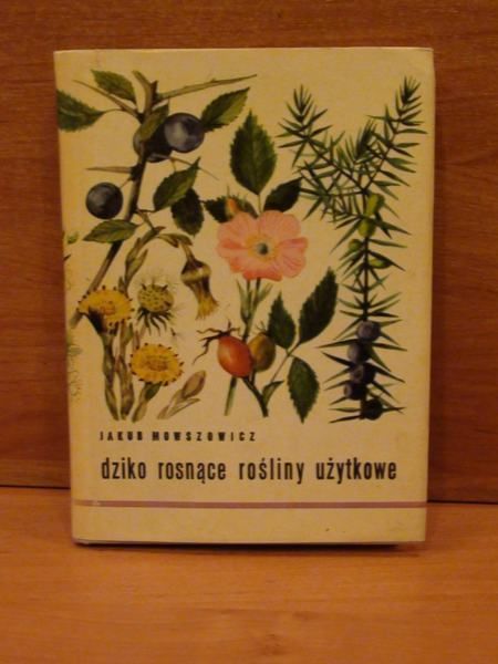Mowszowicz Jakub - Dziko rosnące rośliny użytkowe
