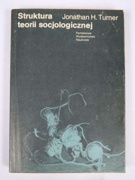 Struktura teorii socjologicznej