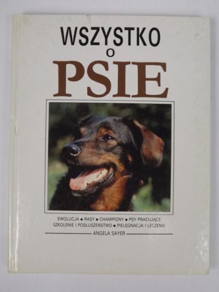 Wszystko o psie
