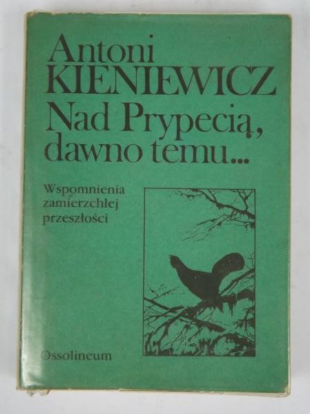 Nad Prypecią, dawno temu...