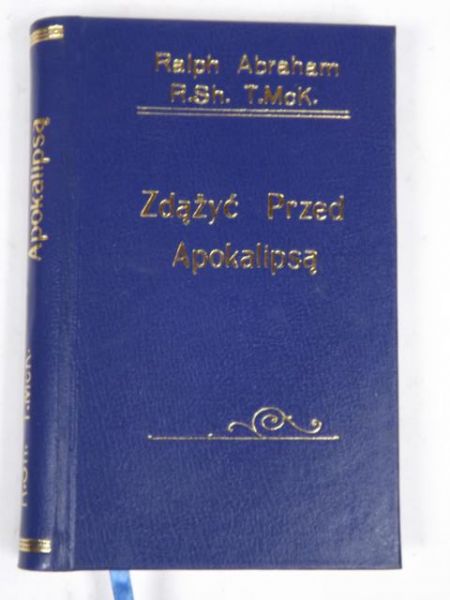 Abraham Ralph, Sheldrake Rupert, McKenna Terence - Zdążyć przed apokalipsą