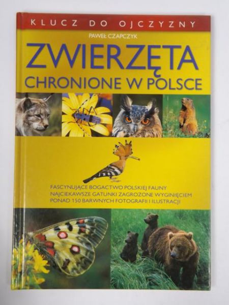 Zwierzęta chronione w Polsce
