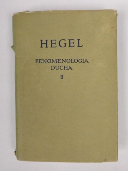 Fenomenologia ducha tom II