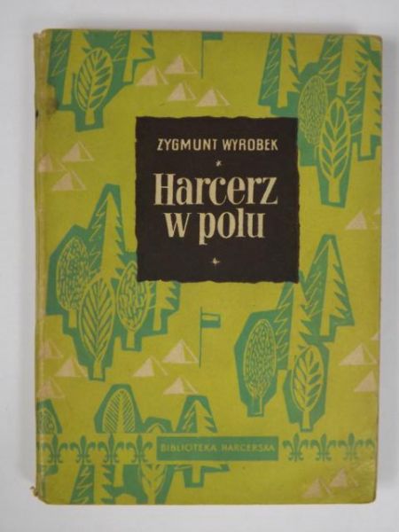 Harcerz w polu