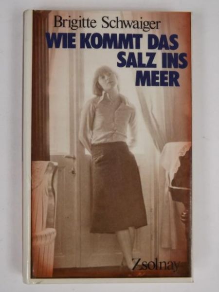 Wie kommt das Salz ins Meer?