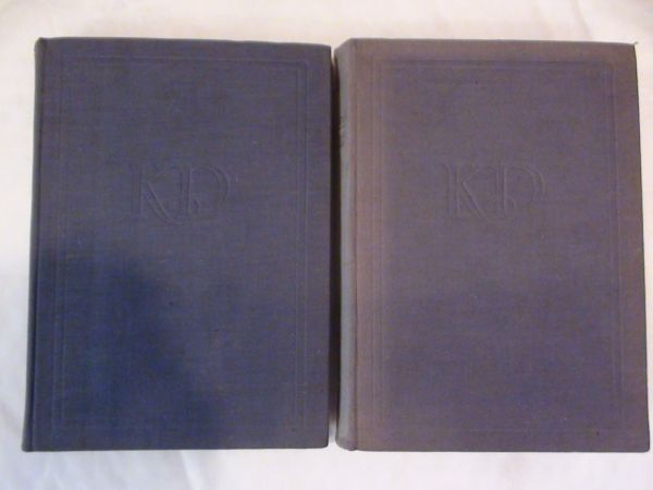 Barnaba Rudge. Opowieść o rozruchach z 1870 roku. Tom I-II.