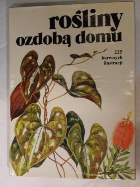 Rośliny ozdobą domu