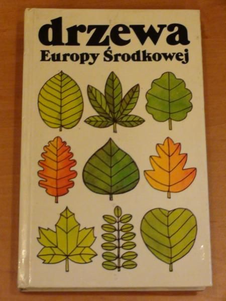Drzewa Europy Środkowej