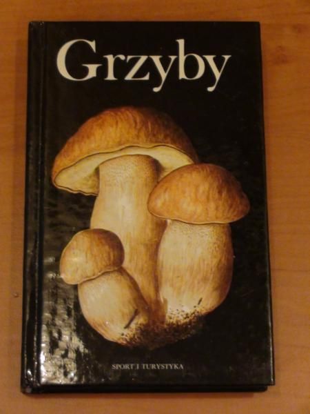 Grzyby