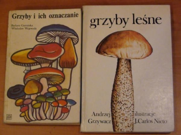Gumińska, Wojewoda - Grzyby i ich oznaczanie; Grzywacz,  - Grzyby leśne