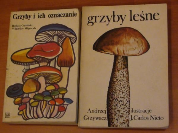 Gumińska, Wojewoda - Grzyby i ich oznaczanie; Grzywacz,  - Grzyby leśne