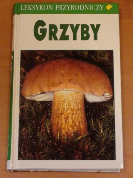 Grzyby