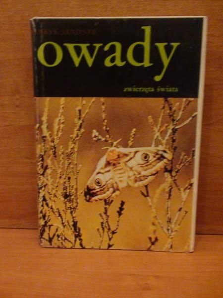 Owady