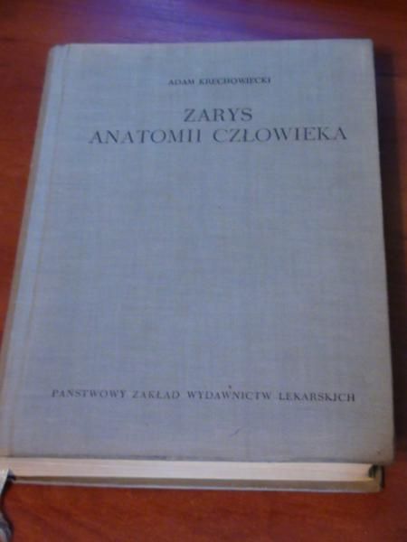 Krechowiecki Adam - Zarys anatomii człowieka