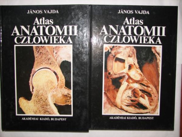 Atlas anatomii człowieka