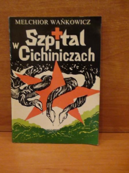 Szpital w Cichiniczach