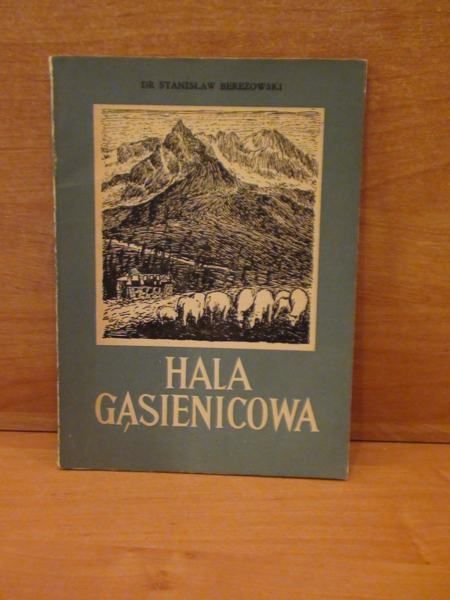 Hala Gąsienicowa
