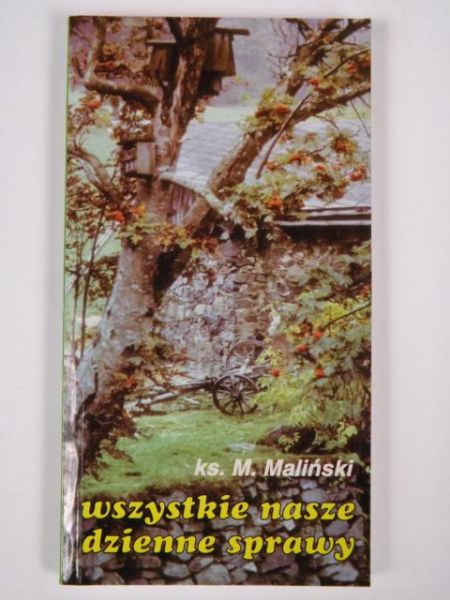 Wszystkie nasze dzienne sprawy