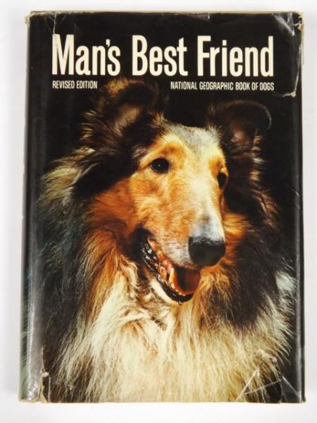 Man's best friend