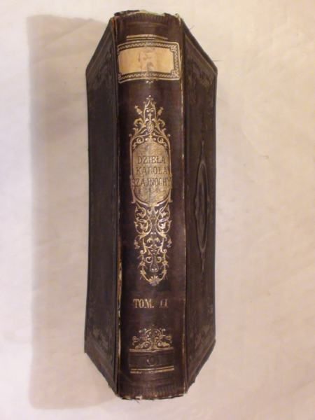 Szkice historyczne 1876 r. Tom II