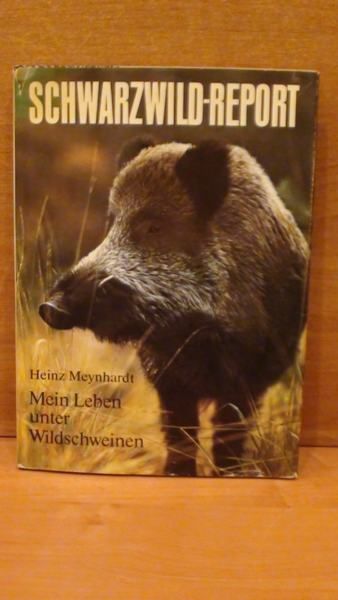 Schwarzwild - Report