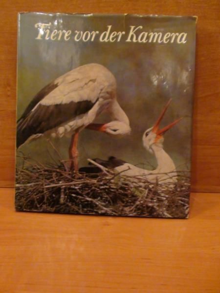 Tiere vor der Kamera