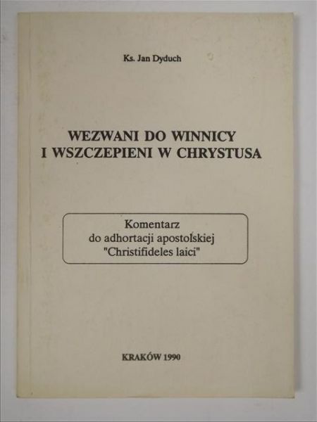 Wezwani do winnicy i wszczepieni w Chrystusa