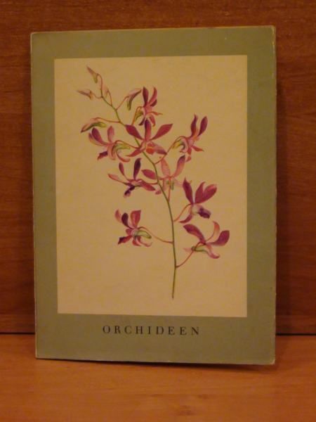 Karl H. - Orchideen