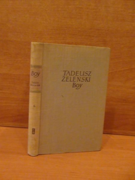 Szkice literackie