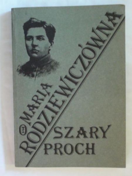 Szary proch