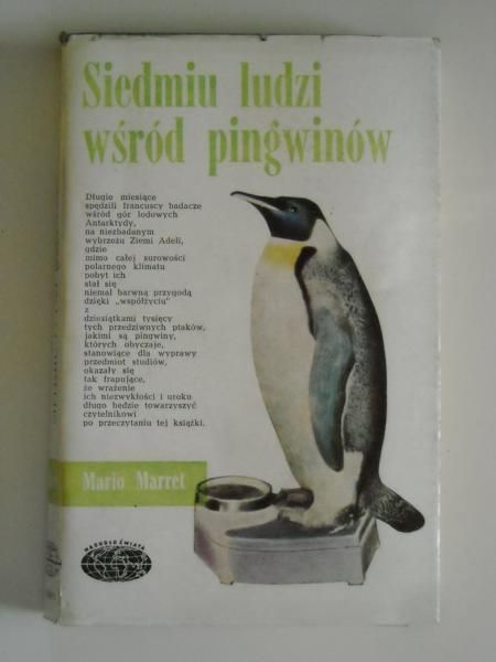 Siedmiu ludzi wśród pigwinów