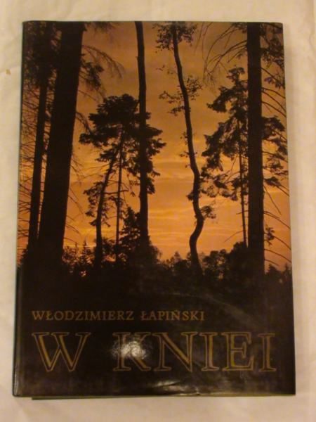 W kniei