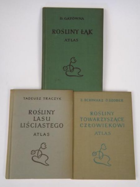 Gayówna, Traczyk,  - Rośliny łąk, Rośliny lasu liściastego, Rośliny towarzyszące człowiekowi