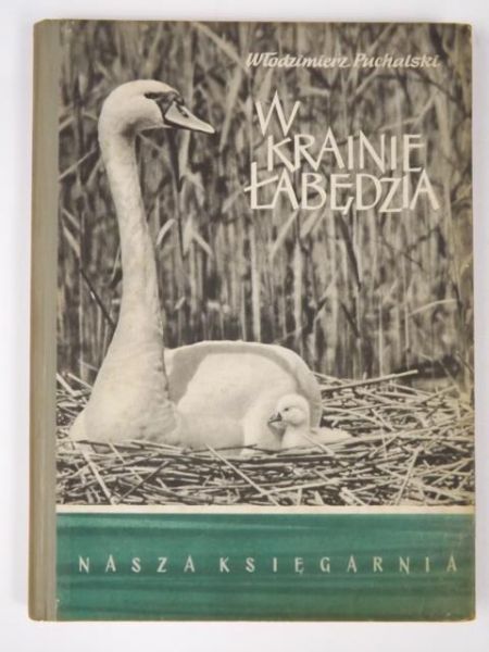 W krainie Łabędzia