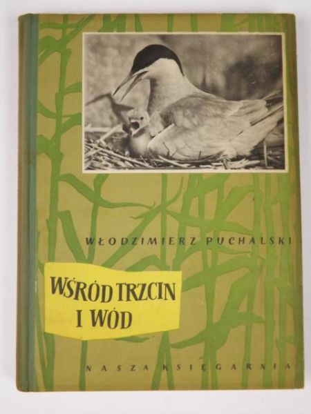 Wśród trzcin i wód