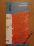 Program Brukselski