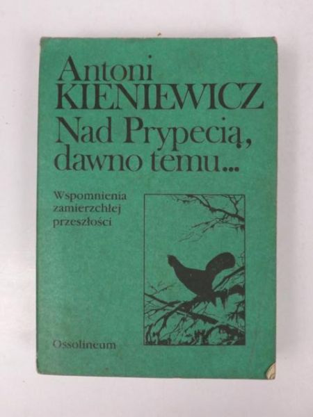 Nad Prypecią, dawno temu...