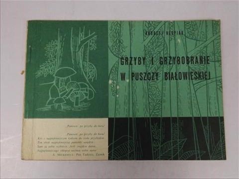 Grzyby i grzybobranie w Puszczy Białowieskiej