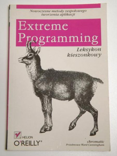 Extreme Programming. Leksykon kieszonkowy