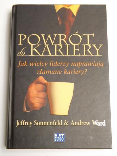 Sonnenfeld J.,    - Powrót do kariery