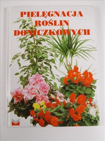 Pielęgnacja roślin doniczkowych