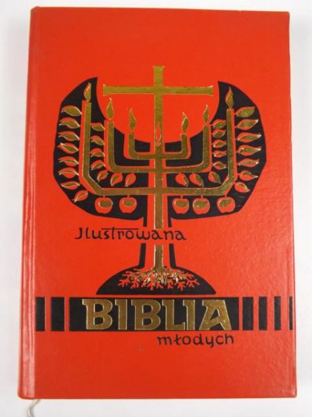 Ilustrowana Biblia Młodych
