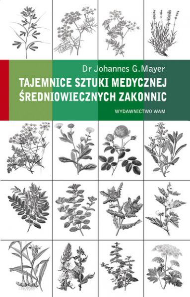 Tajemnice sztuki medycznej średniowiecznych zakonnic