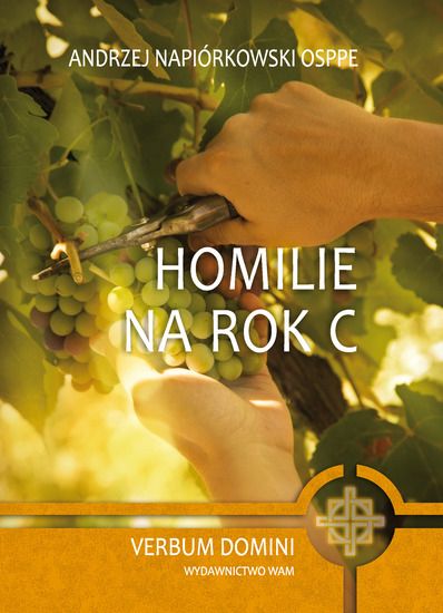 Homilie na rok B