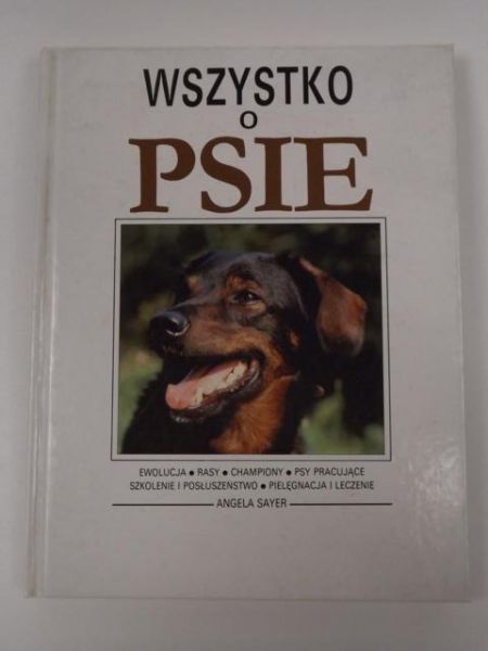 Wszystko o psie