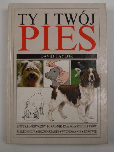 Ty i twój pies