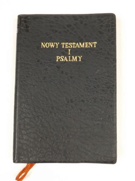 Nowy Testament i Psalmy
