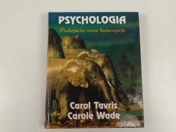 e - Psychologia. Podejścia oraz koncepcje